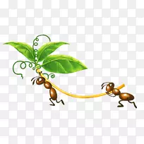 蚁群昆虫剪贴画-蚂蚁叶-空若网 蚁群昆虫剪贴画-蚂蚁叶-空若网