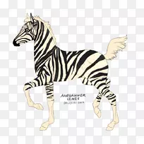 准猫陆生动物斑马-猫-空若网 准猫陆生动物斑马-猫-空若网