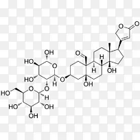 抗茜素女士手套,心糖苷,cymarin-conallaria-空若网 抗茜素女士手套,心糖苷,cymarin-conallaria-空若网