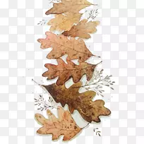 水彩画插图-秋叶-空若网 水彩画插图-秋叶-空若网