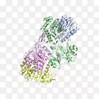 �����鱦��޹�²ݡ��󳦸˾�-������