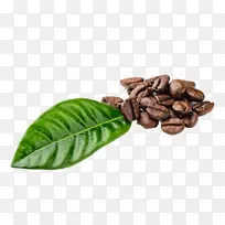 速溶咖啡浓咖啡伊波白咖啡豆-空若网 速溶咖啡浓咖啡伊波白咖啡豆-空若网