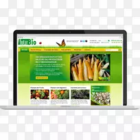 网页显示广告多媒体-futur-空若网 网页显示广告多媒体-futur-空若网