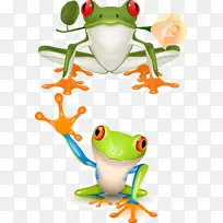 红眼树蛙剪贴画-卡通青蛙-空若网 红眼树蛙剪贴画-卡通青蛙-空若网