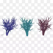 ϸ֦²ÝÖ²Îï¾¥Þ¹Ò²ÝË®×åÏä-º£Éºº÷-¿ÕÈôÍø ϸ֦²ÝÖ²Îï¾¥Þ¹Ò²ÝË®×åÏä-º£Éºº÷-¿ÕÈôÍø