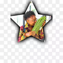 ���ǽ�-������