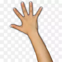 Arvika OnsalaĴָ�г�ģ��-����ҵ��-������