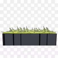 ���βݽ�-������