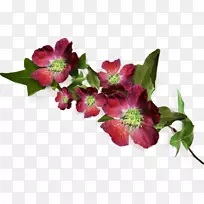 �л����ʻ�������-����-�ʻ�-������