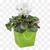 ��������л������ɿ�����-������