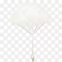 蒲公英-空若网 蒲公英-空若网