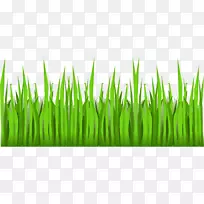 草坪剪贴画-草地足球-空若网 草坪剪贴画-草地足球-空若网