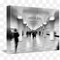 ��ɫ���-������