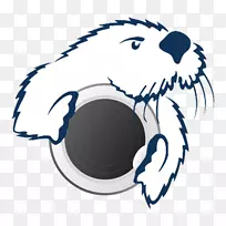 加州州立大学蒙特利湾加州大学圣马科斯分校学生-空若网 加州州立大学蒙特利湾加州大学圣马科斯分校学生-空若网