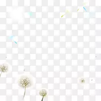 花瓣地板计算机图形蒲公英-空若网 花瓣地板计算机图形蒲公英-空若网