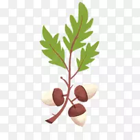 Ê÷¼á¹û±ä̬·´Ó¦»¨ÅèÊ÷-¿ÕÈôÍø Ê÷¼á¹û±ä̬·´Ó¦»¨ÅèÊ÷-¿ÕÈôÍø