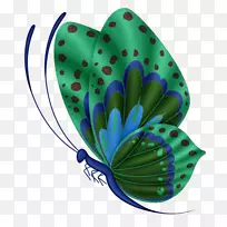 ºûµû×ÀÃæ±ÚÖ½À¥³æ¼ôÌù»-ºûµû-¿ÕÈôÍø ºûµû×ÀÃæ±ÚÖ½À¥³æ¼ôÌù»-ºûµû-¿ÕÈôÍø