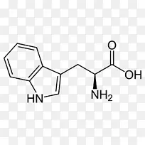 5-��ɫ��������ṹ����-5-��ɫ��-������