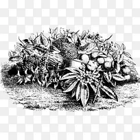 Ë®¹û¼ôÌù»-²¤ÂÜ-¿ÕÈôÍø Ë®¹û¼ôÌù»-²¤ÂÜ-¿ÕÈôÍø