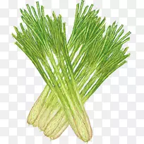 ÏãéרÀû-Ãâ·ÑÉãÓ°²åͼ.ÊÖ»æÄûÃʲÝ-¿ÕÈôÍø ÏãéרÀû-Ãâ·ÑÉãÓ°²åͼ.ÊÖ»æÄûÃʲÝ-¿ÕÈôÍø