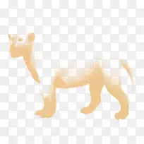 ʨ�ӹ�è����-ʨ��-������