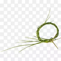 Â̲ÝȦ-¿ÕÈôÍø Â̲ÝȦ-¿ÕÈôÍø