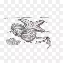 �����ڷ���-������