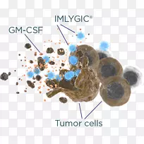 肿瘤病毒黑色素瘤-癌细胞的治疗-空若网 肿瘤病毒黑色素瘤-癌细胞的治疗-空若网