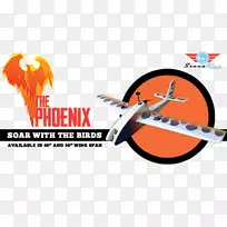 �ɻ�������һ�˹ۺ���-��ʯ���չ�˾-������