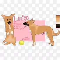 犬种卡罗莱纳犬鼻子-小狗-空若网 犬种卡罗莱纳犬鼻子-小狗-空若网