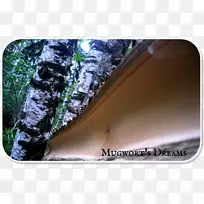 水树-水-空若网 水树-水-空若网