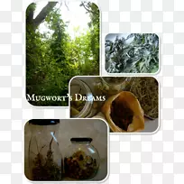 ��-��-������