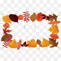 ��Ҷˮ�ʻ�ˮ����Ҷ-������