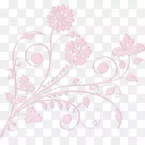 花瓣图案设计-空若网 花瓣图案设计-空若网