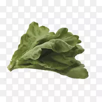 Ý«ÜÄÊ߲˾íÐIJË-¾íÐIJË-¿ÕÈôÍø Ý«ÜÄÊ߲˾íÐIJË-¾íÐIJË-¿ÕÈôÍø