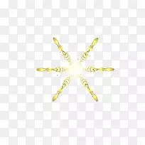 昆虫传粉者身体珠宝害虫-昆虫-空若网 昆虫传粉者身体珠宝害虫-昆虫-空若网