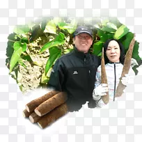 当地食品-大禁令-空若网 当地食品-大禁令-空若网