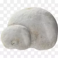 �����������ʦ-����ʯ-������