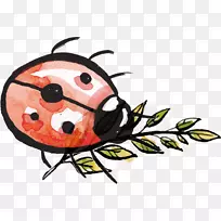 瓢虫昆虫水彩画-水彩画七只瓢虫-空若网 瓢虫昆虫水彩画-水彩画七只瓢虫-空若网