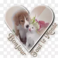 С�����ȸ��鹷Ʒ��-С��-������