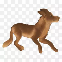 狗野生动物陆生动物-摔倒-空若网 狗野生动物陆生动物-摔倒-空若网