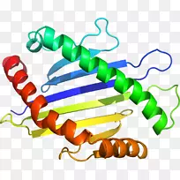 人体首饰有机体线剪贴画线-空若网 人体首饰有机体线剪贴画线-空若网