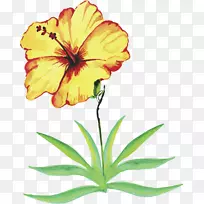 创意水彩花卉-空若网 创意水彩花卉-空若网