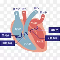 品牌标志引领一代手指设计-空若网 品牌标志引领一代手指设计-空若网
