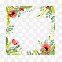 �������뺯ˮ�ʻ�����ˮ�ʻ�����-������