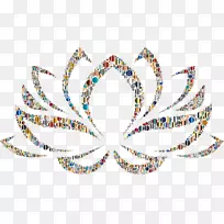 Nelumbo nucifera剪贴画-莲花剪贴画-空若网 Nelumbo nucifera剪贴画-莲花剪贴画-空若网