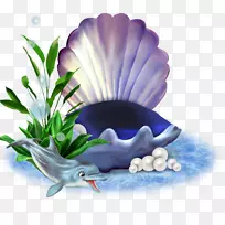 ���պؿ��ɶԼ�����-����-������