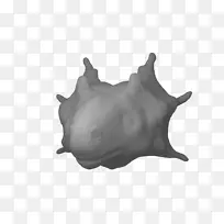 白色颌骨设计-空若网 白色颌骨设计-空若网