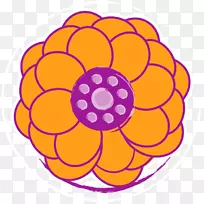 康普茶圆形对称超食图案-生姜汁-空若网 康普茶圆形对称超食图案-生姜汁-空若网