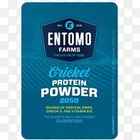 昆虫蟋蟀粉食昆虫-空若网 昆虫蟋蟀粉食昆虫-空若网